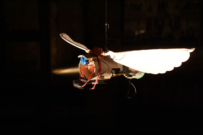 Beating Tones and Flapping Wings installation view